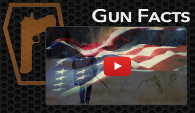 button gun control facts